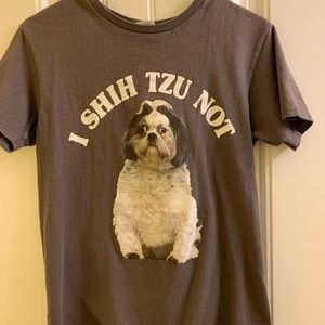 I shih tzu not